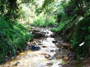 Quebrada-La-Bermejala-estudios-hidraúlicos-ingenieros-civiles-gms-ingenieros