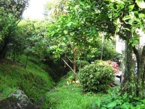 Quebrada-La-Pulgarina-Sedimetnos. GMS-Ingenieros